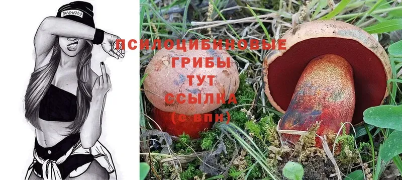 Псилоцибиновые грибы Magic Shrooms  Великие Луки 